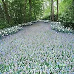 カリロン ホテル ハーレム