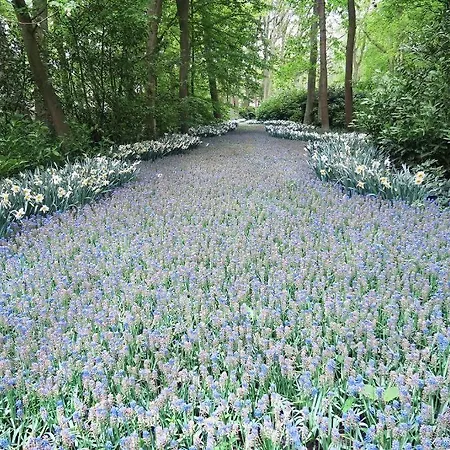 Carillon Hotel Haarlem