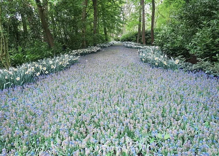 카릴론 호텔 하를렘