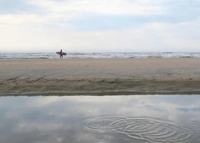 호텔 카릴론 하를렘